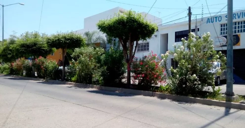 Vecinos llenan de vida camellón en Culiacán