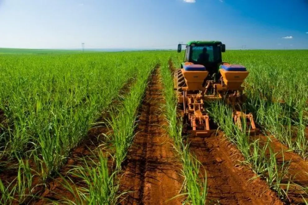 Aprueban Ley de Sanidad e Inocuidad Agrícola en Sinaloa