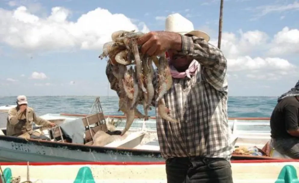 El 14 y 26 de septiembre inicia la temporada de pesca en Sinaloa