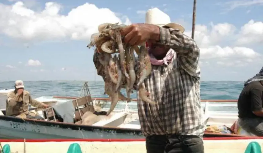 El 14 y 26 de septiembre inicia la temporada de pesca en Sinaloa