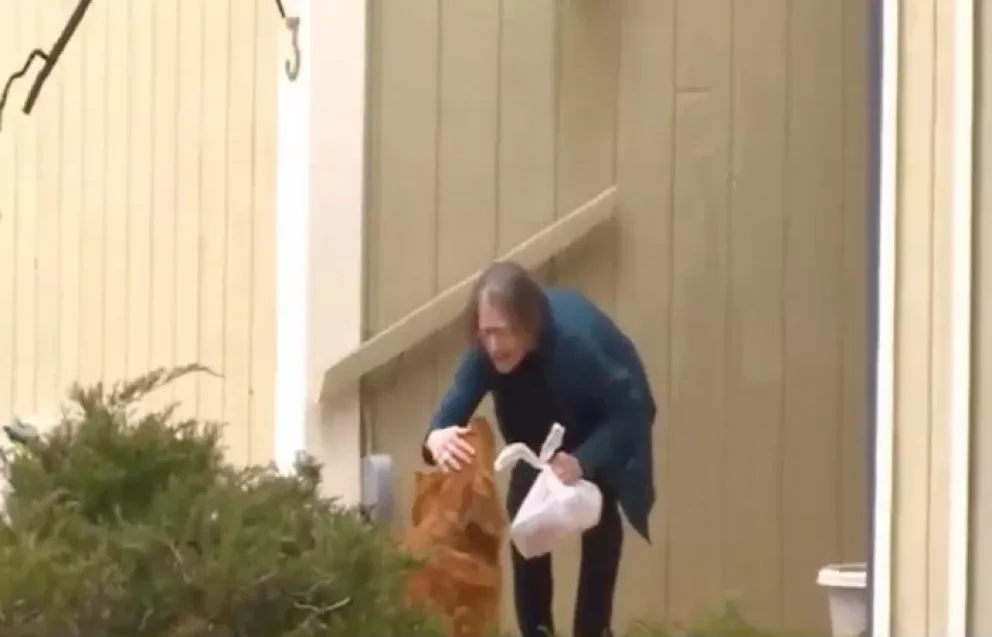 “Sundance” el perrito Golden Retriever que entrega comida a personas mayores en cuarentena