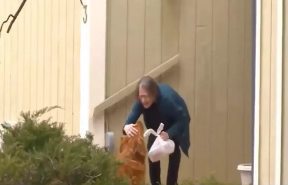 “Sundance” el perrito Golden Retriever  que entrega comida a personas mayores en cuarentena