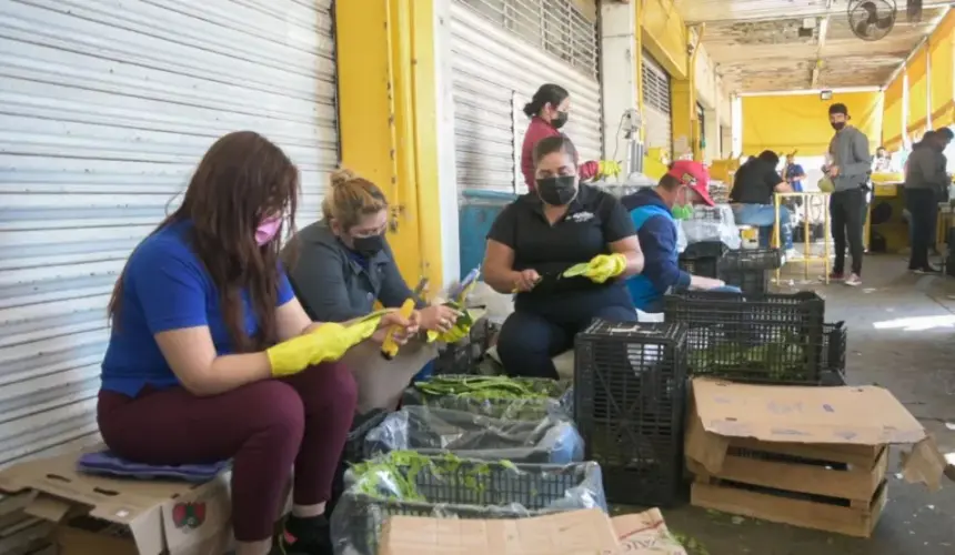 Los Nopales son una delicia, gracias a manos hábiles limpiadoras