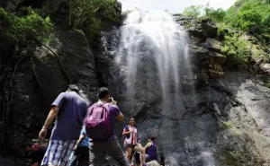 Por fin, harán reserva municipal al cerro 7 gotas, y 2 más