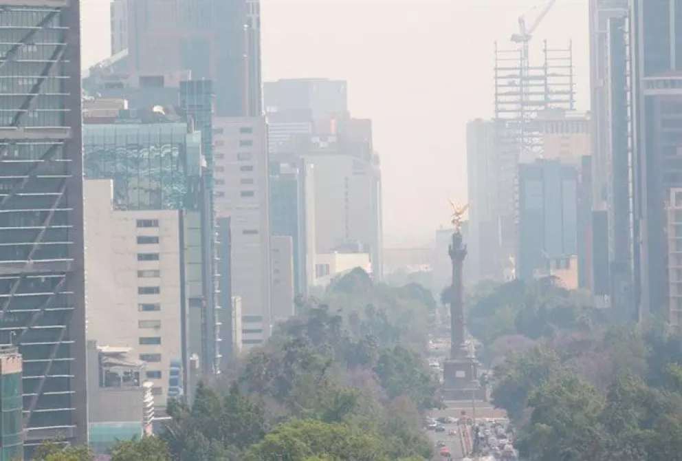 6 acciones para mejorar la calidad del aire: Greenpeace México