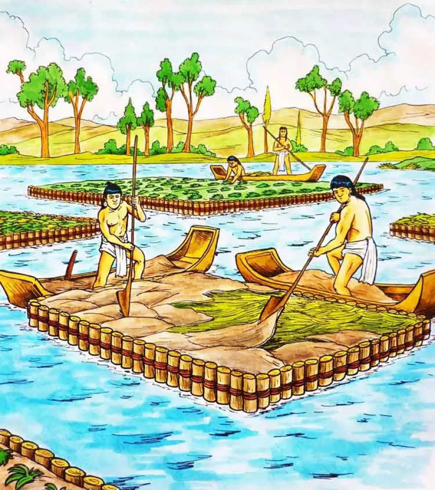 Conoce las chinampas, un patrimonio agrícola mundial...