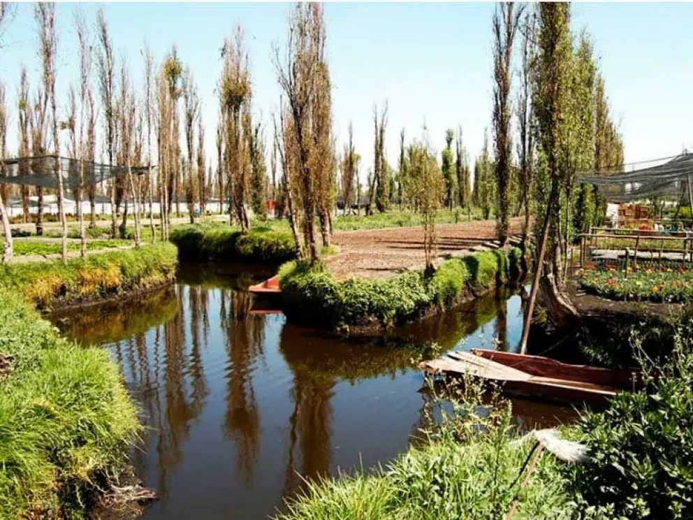 Chinampas mexicanas reconocidas como patrimonio agrícola