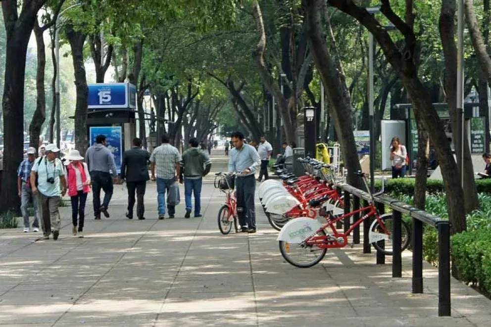 7 proyectos que buscan convertir ciudades verdes en México