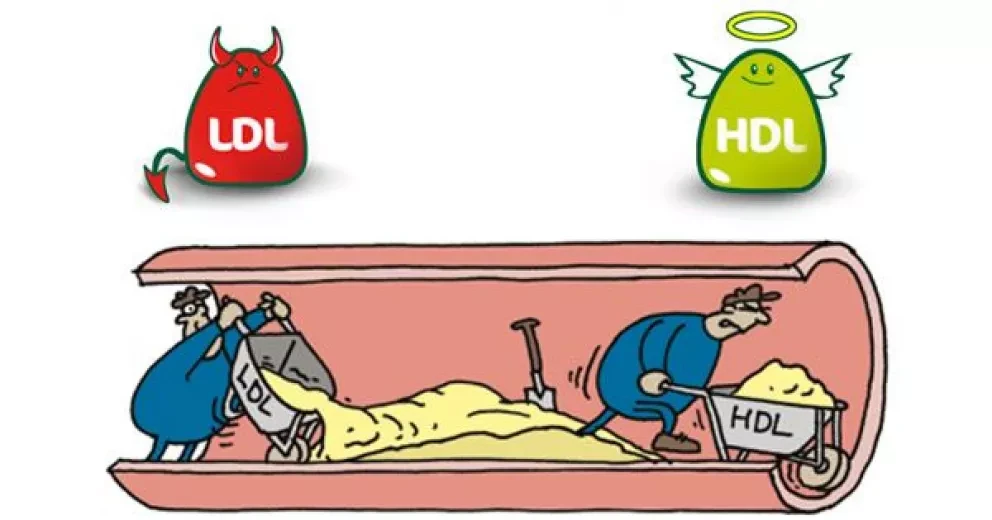 Claves para mantener controlado el Colesterol