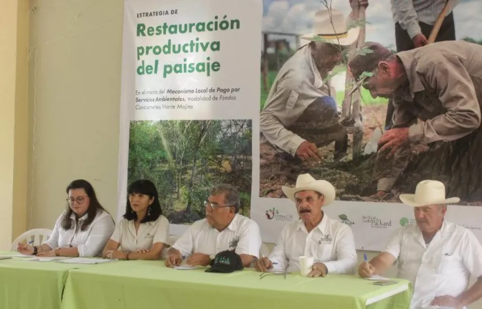 Siguen programas de conservación en selvas de Concordia y Rosario