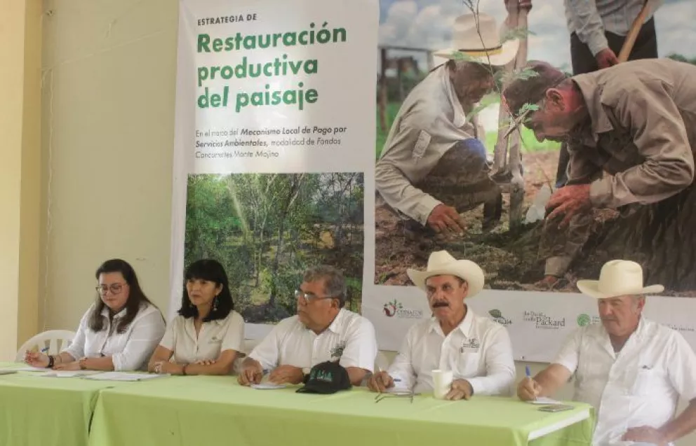 Siguen programas de conservación en selvas de Concordia y Rosario