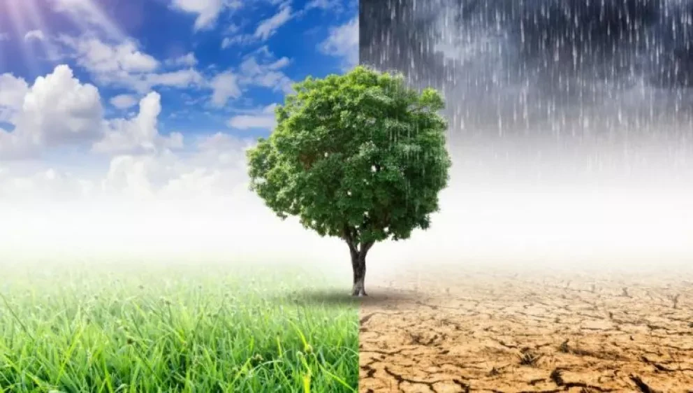 COP 24…25… y COP 26…