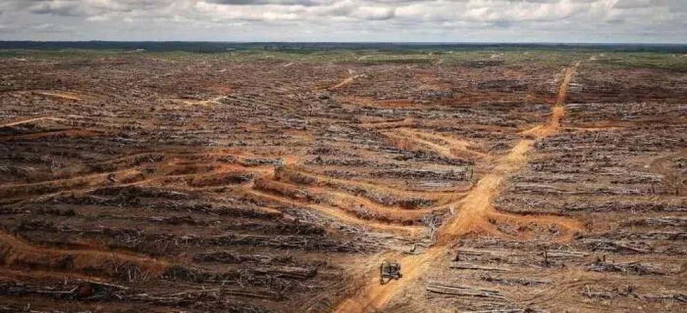 Lo que viene después de la COP26