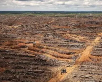 Lo que viene después de la COP26