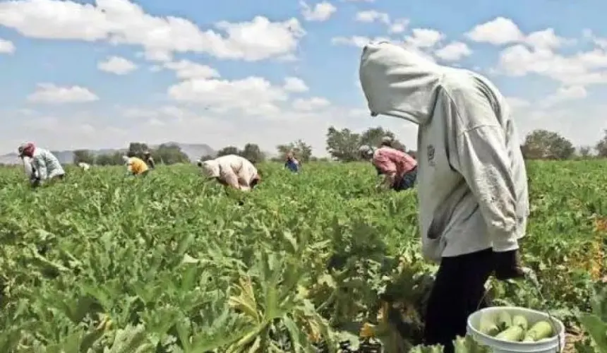 Fortalecen la prevención del Covid-19 en agrícolas de Villa Juárez