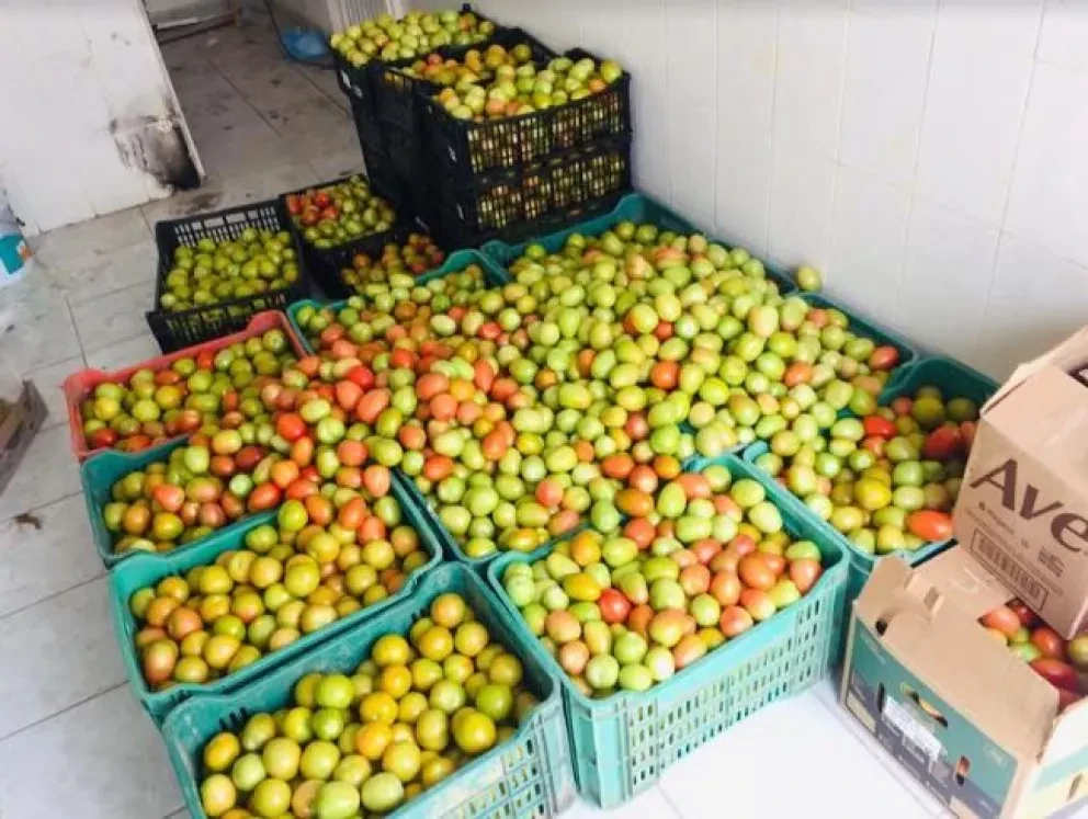 En apoyo a la contingencia Agricultores donan hortalizas en Villa Juárez