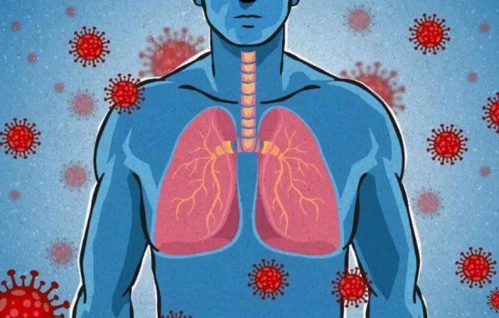 Línea de tiempo del coronavirus en el cuerpo