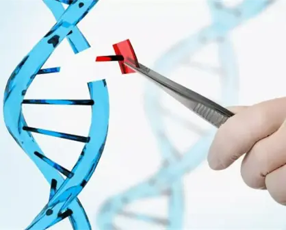 CRISPR-Cas9: Una posible solución al cáncer