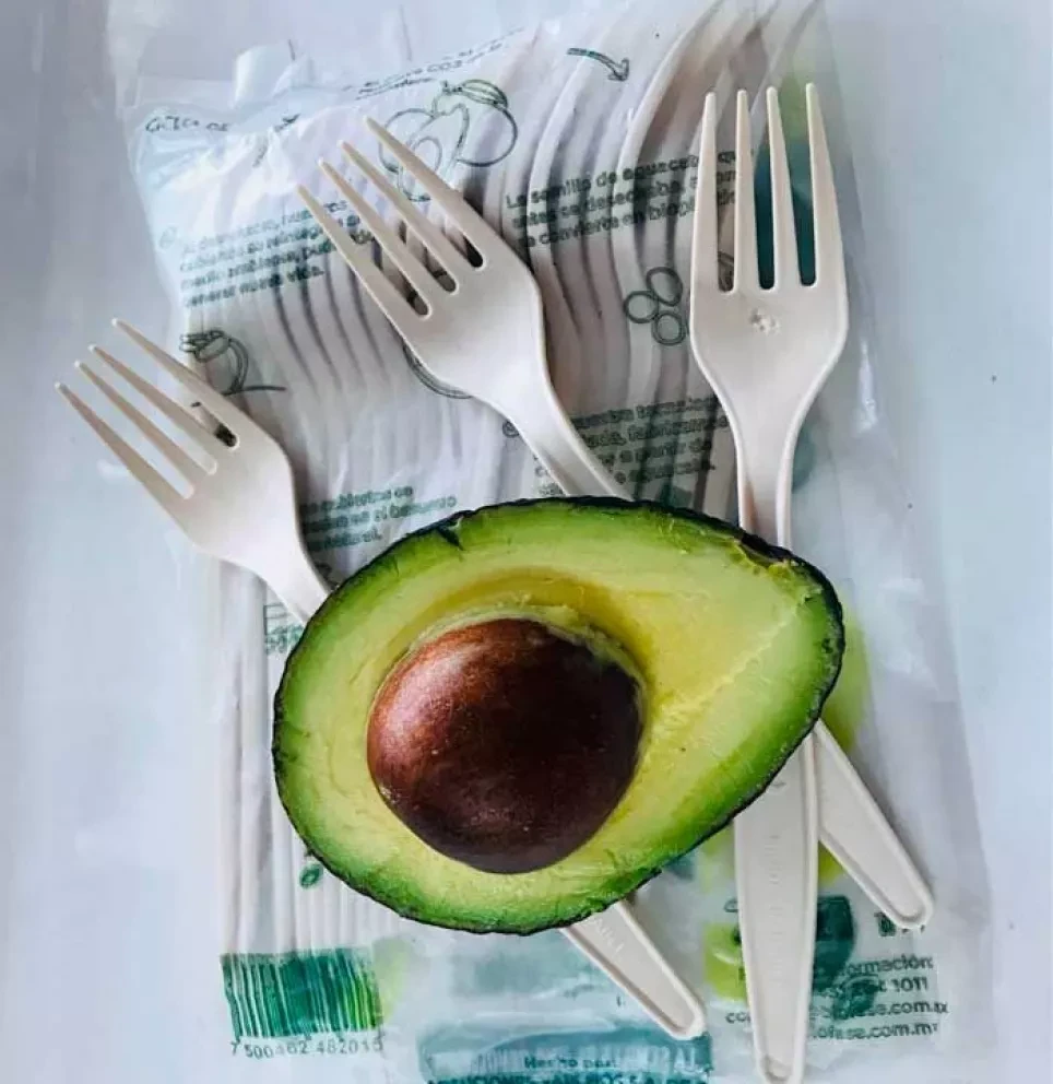 El florecimiento de los bioplásticos en México