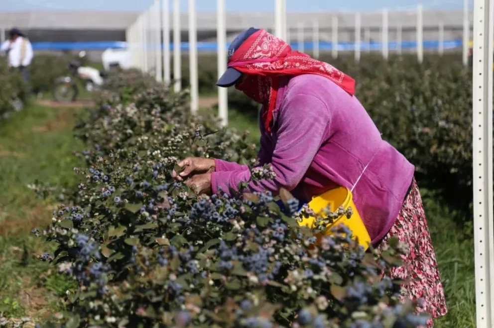 Superó Sinaloa el valor de las exportaciones en 2020