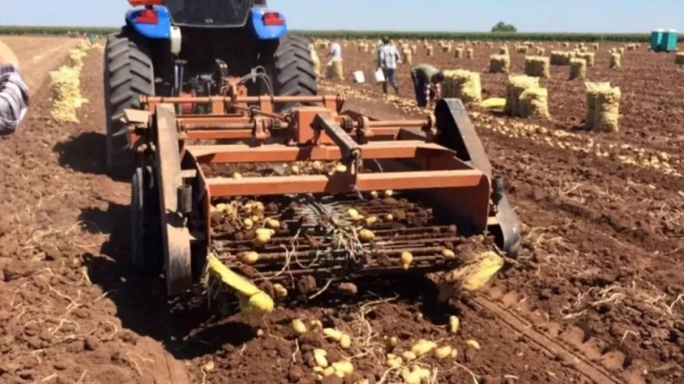 El sector agroalimentario puede ser motor de la economía mexicana