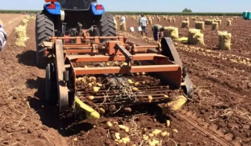 El sector agroalimentario puede ser motor de la economía mexicana