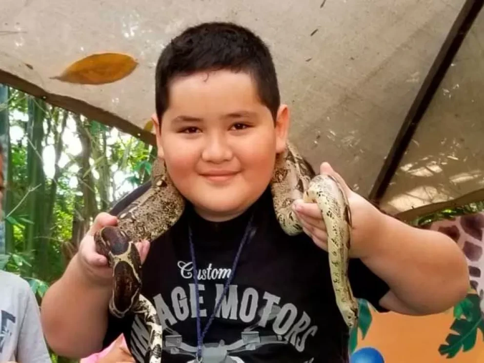 Lleva a tus hijos a cursos de verano del zoológico hay uno semanal