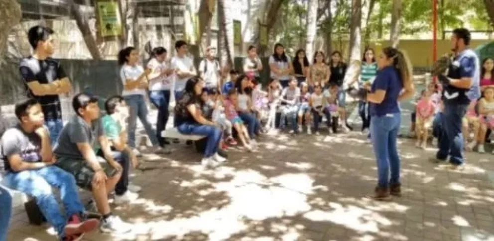 7 cursos de verano Culiacán 2021