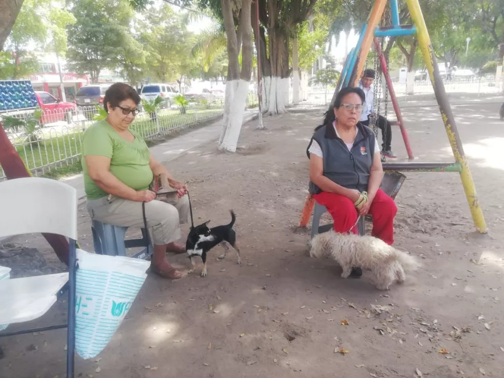 Dan en adopción a mascotas en Villa Juárez
