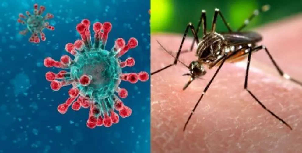 Aprendamos a diferenciar los síntomas del dengue y Covid-19