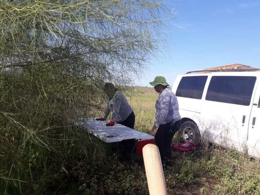 Raestreadoras es lo mejor que tiene Sinaloa en desapariciones forzadas
