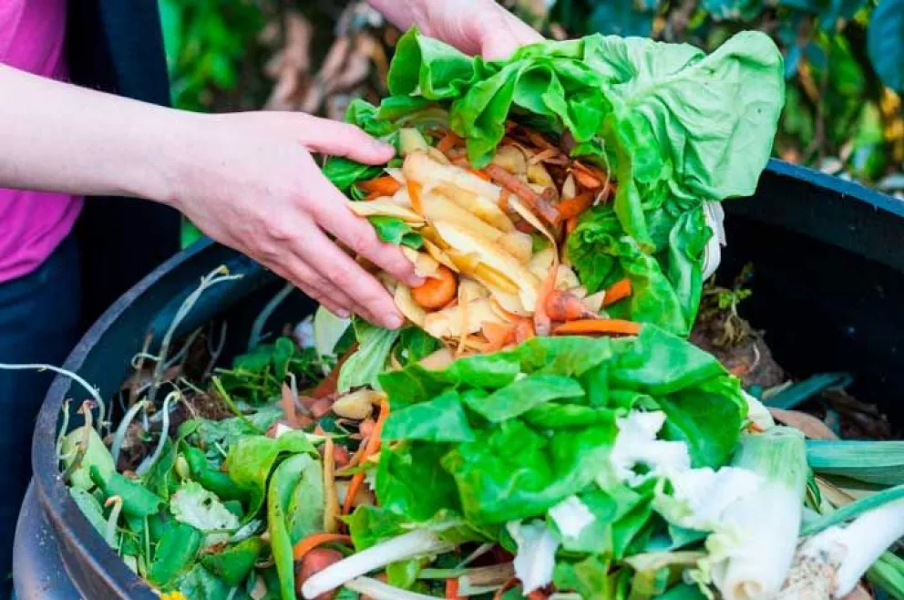 5 consejos para evitar el desperdicio de alimentos