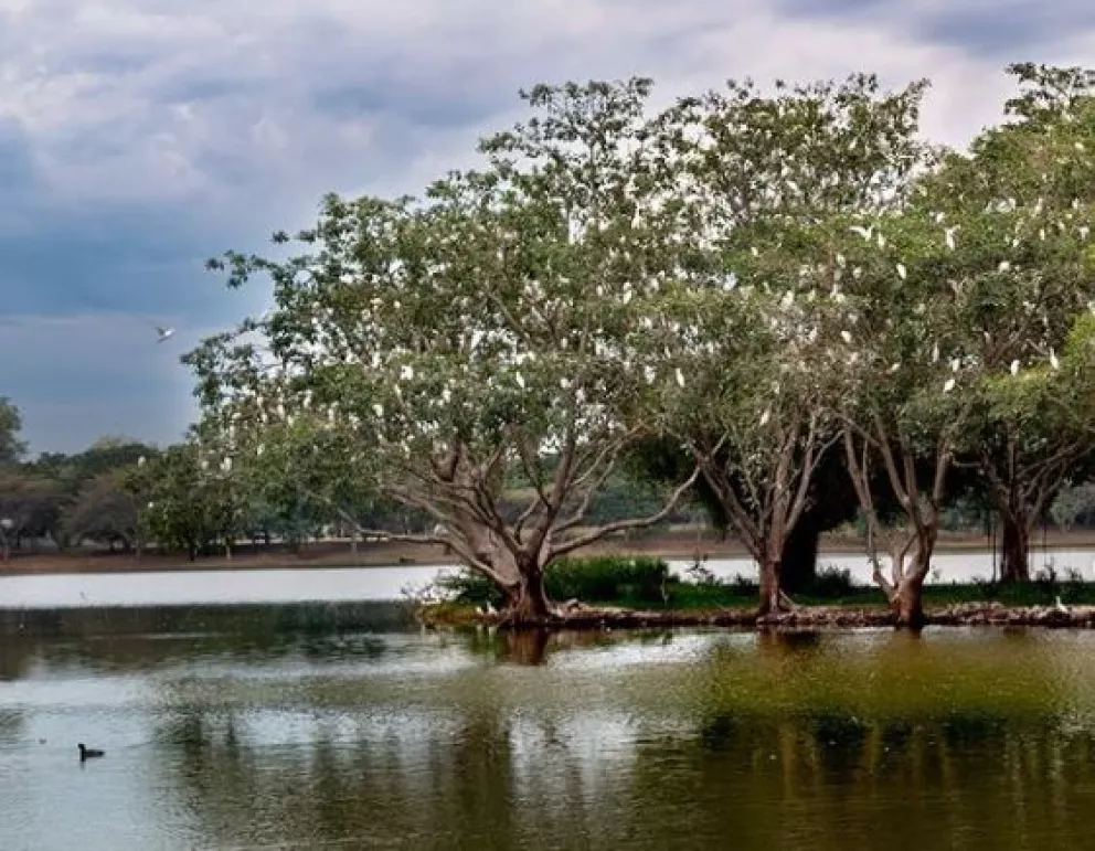 El cuidado de la madre naturaleza