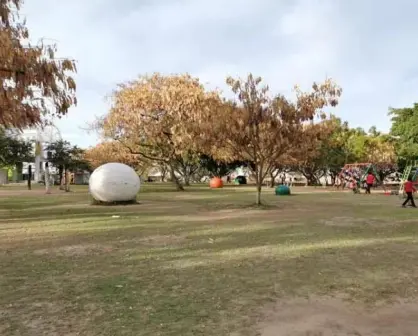 VIDEO: El Jardín de la Paz, un lugar para disfrutar en Culiacán ¿Lo conoces?