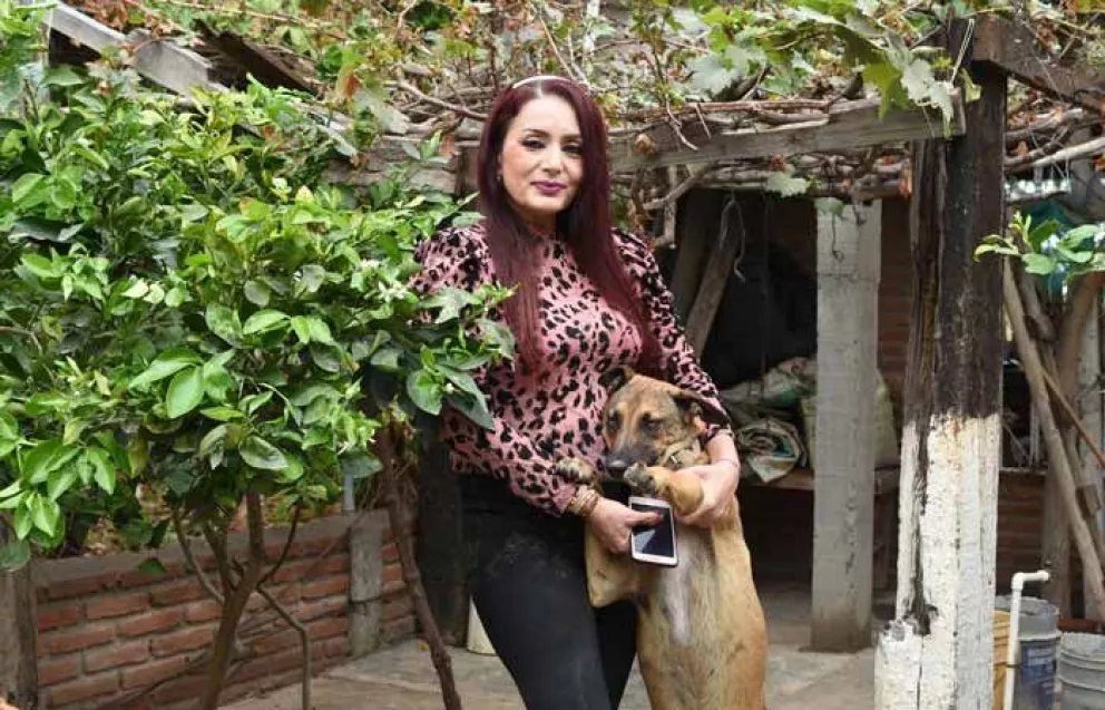 Aleyda el ángel de los perros en Villa Juárez