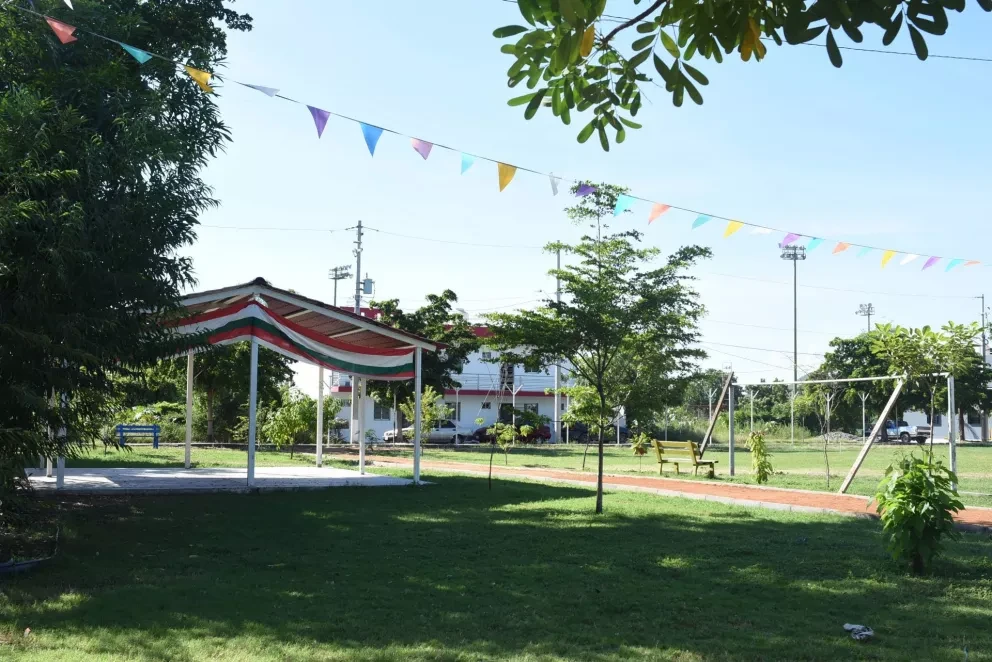 Vecinos se organizan y transforman parque Los Fresnos