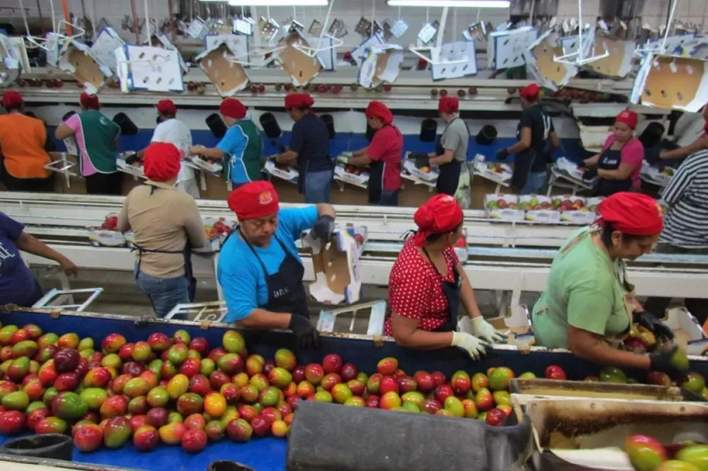 Avanza la consolidación de la economía en Sinaloa