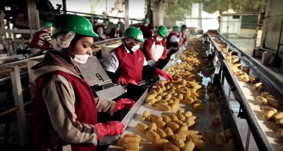 Se registran más de 16 mil empleos nuevos en Sinaloa en septiembre
