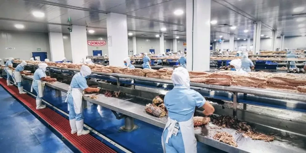 IMCO da medalla de plata a Sinaloa por eficiencia en el trabajo