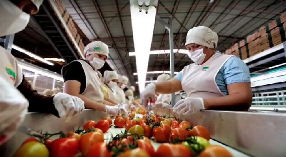 Crece en 1.8 % el número de patrones en Sinaloa en mayo 2020