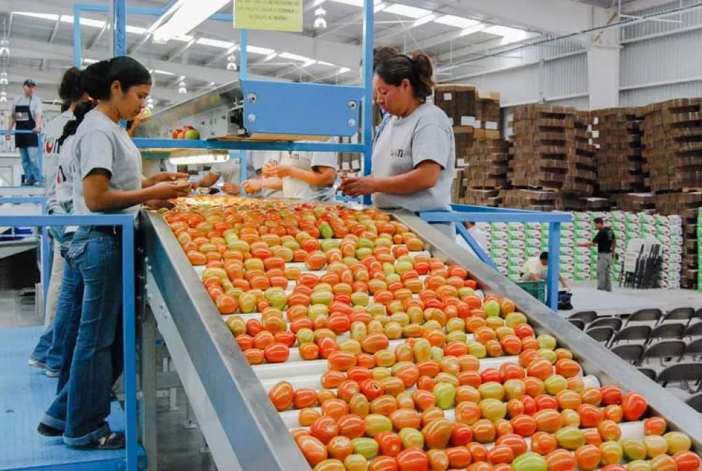 Crece 4.5% empleo formal en Sinaloa durante primer semestre