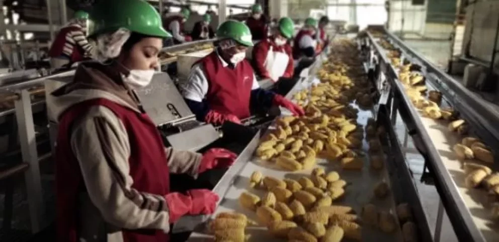 ¿Cómo va la recuperación de empleos en Sinaloa?