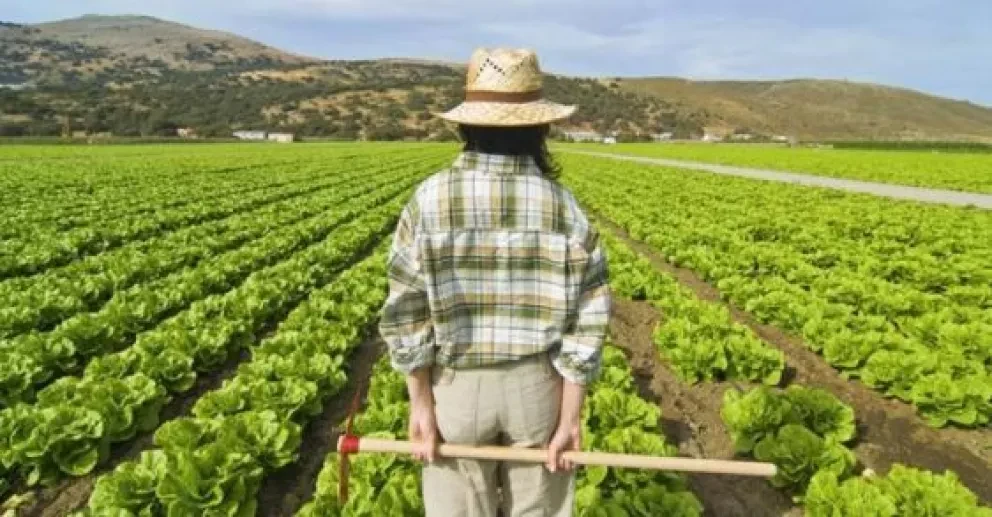 ¿Emprendedor agrícola? Gánate 500 mil pesos en este concurso