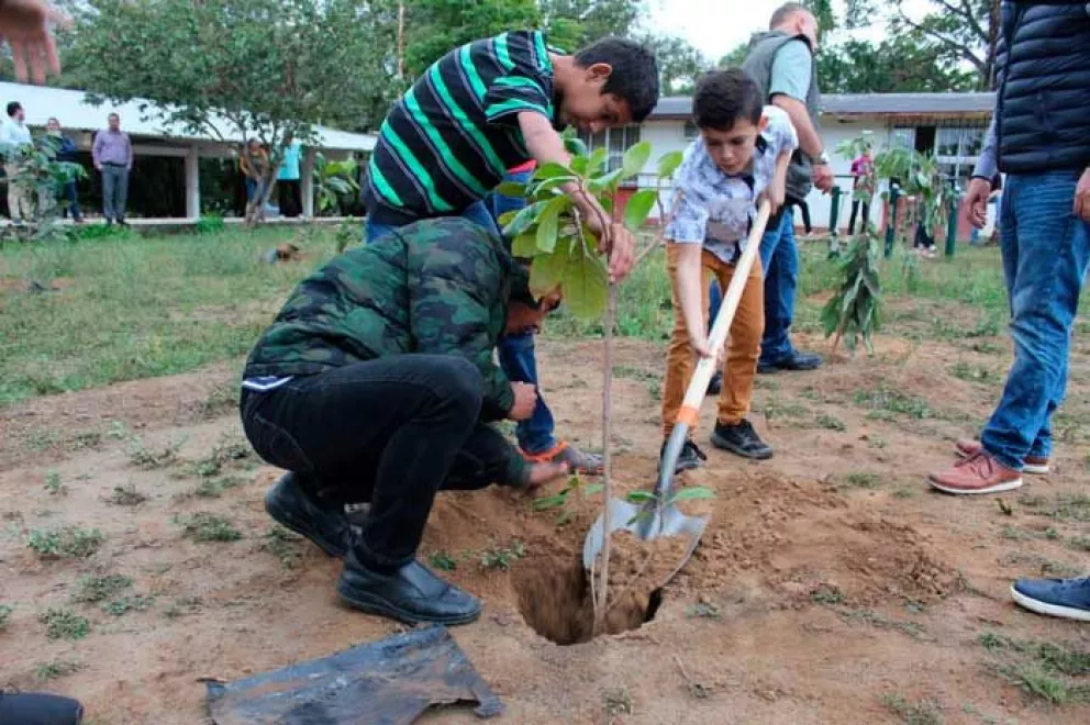Plantarán 12 mil árboles regionales en Cosalá