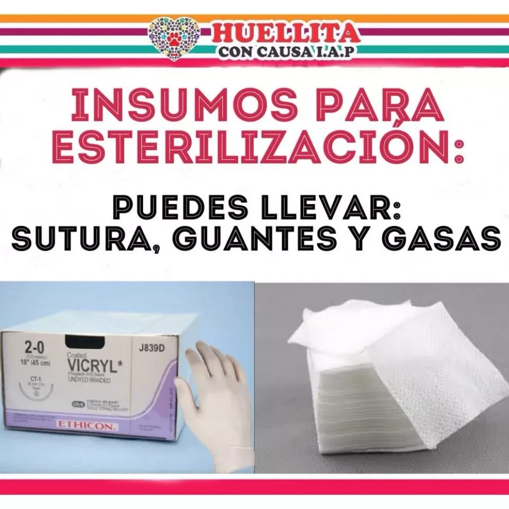 ¡Esteriliza a tu mascota gratis! -Agenda Filantrópica-