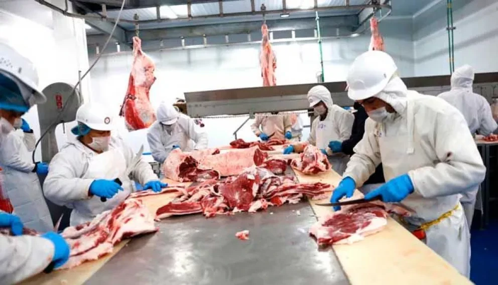 Crecieron exportaciones en Sinaloa durante 2018