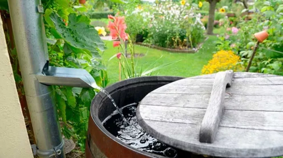 Métodos para recolectar agua de la lluvia