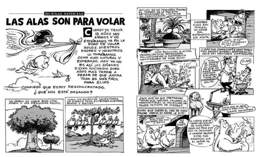 Las alas son para volar... No caminar