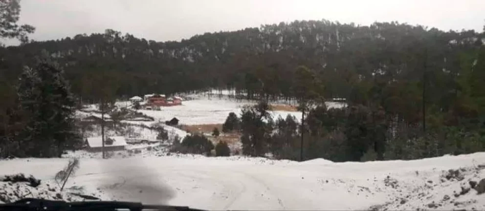 Este viernes 7 seguirá impactando el frío en Sinaloa