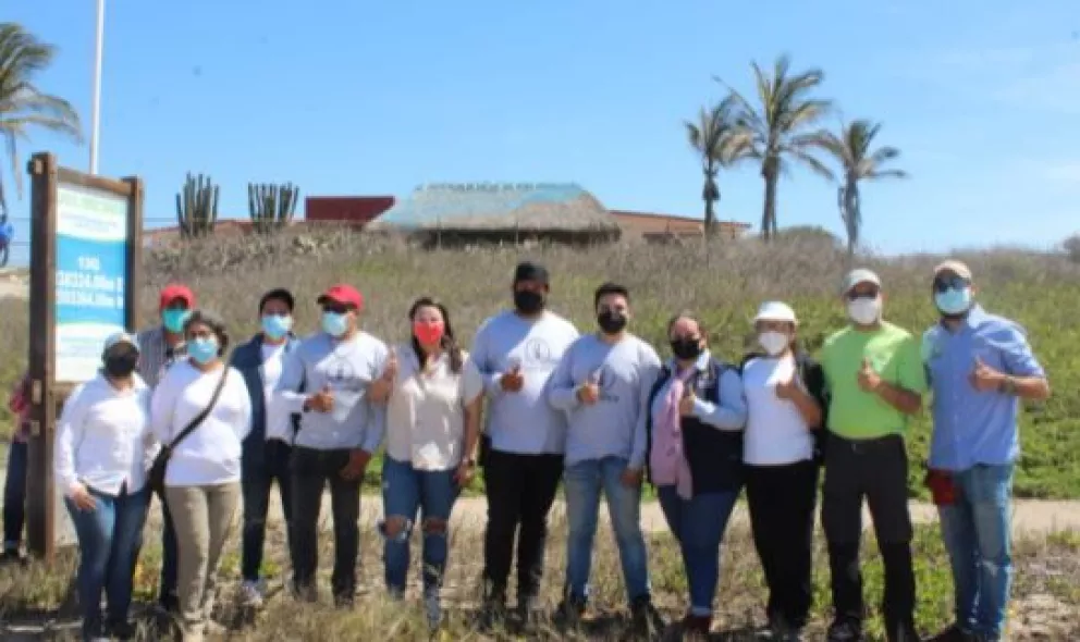 Arranca proyecto para el cuidado de las crías de tortugas en Sinaloa